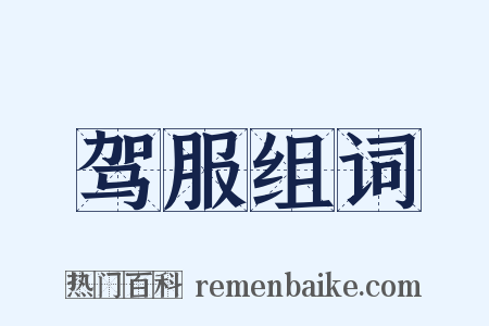 驾服组词是什么意思的图片